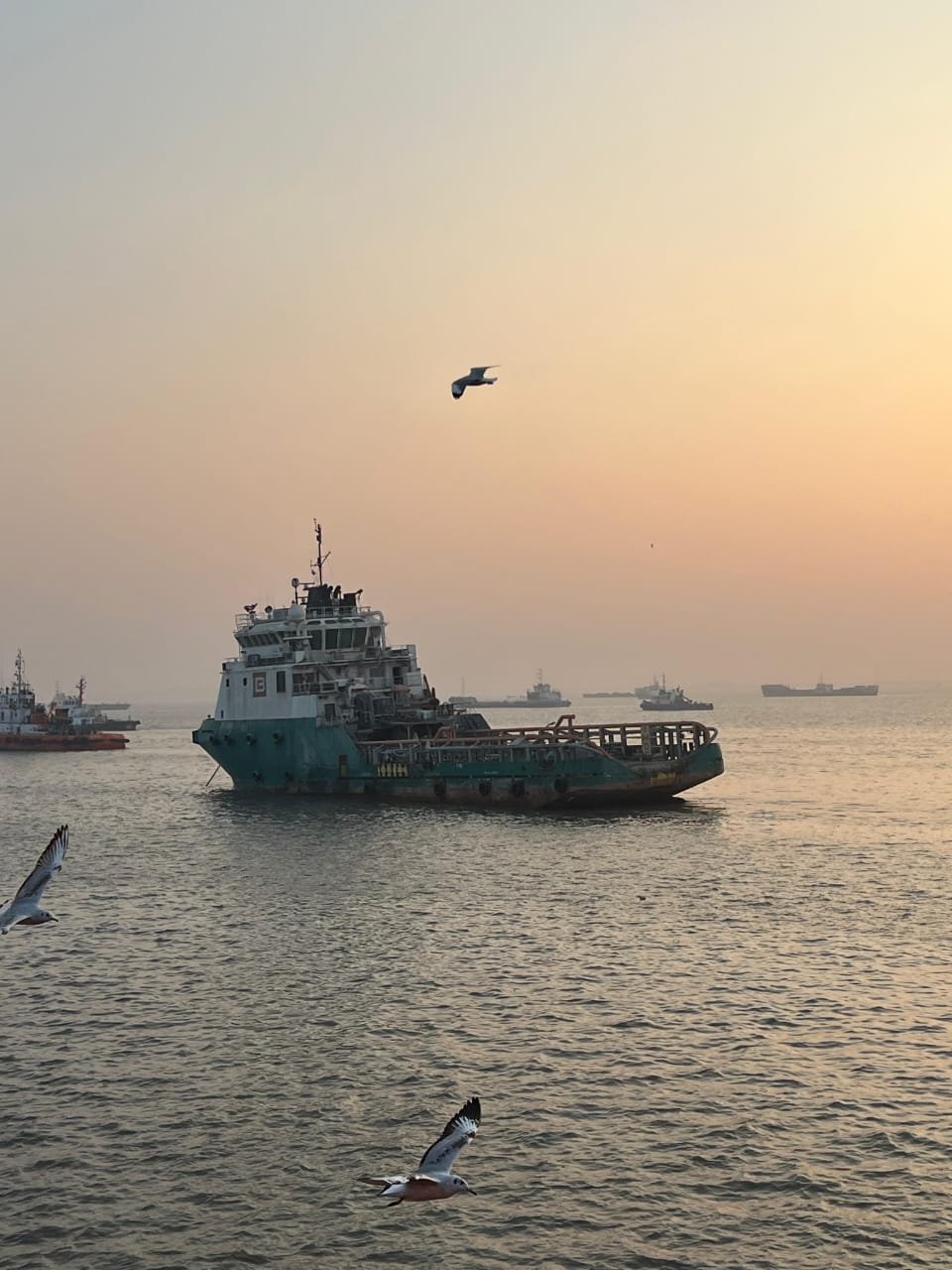 CAN Shipping tugs and support vessels berthed at Mumbai port
